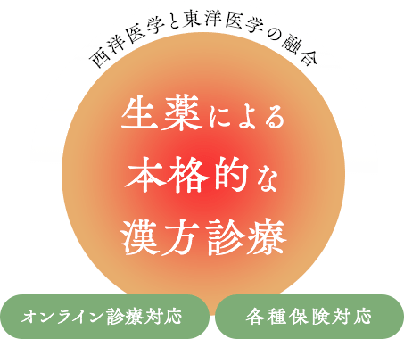 西洋医学と東洋医学の混合 生薬による本格的な漢方診療